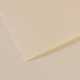 PAPEL MI-TEINTES 50X65 160GR ( 110) FLOR DE LYS | 10 UNIDADES | (GUARRO & CANSON)